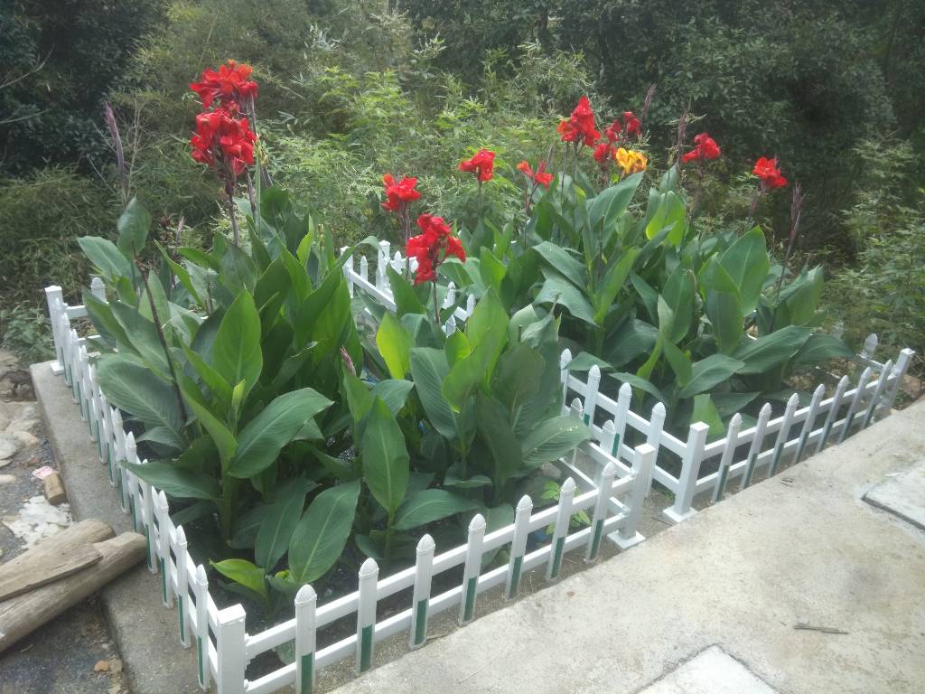 山東濱州農(nóng)村生活污水處理示范項目